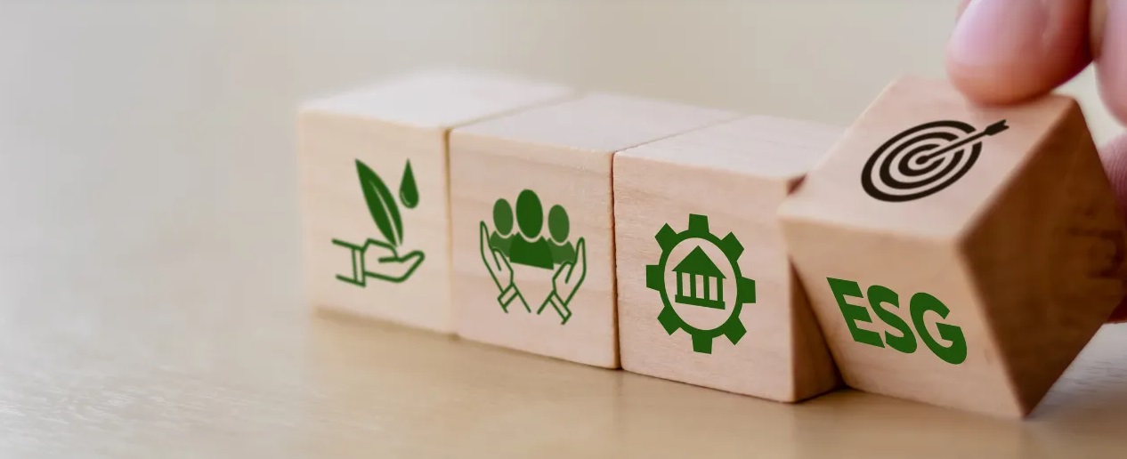 Come Implementare una Strategia ESG in Azienda